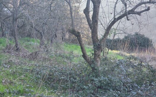 **Terreno Edificabile in Vendita a**