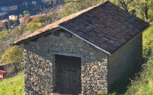 Grande proprietà 20.600 mq con due rustici indipendenti !!!